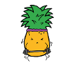 Funky Muckibuden Ananas
