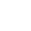 Polish Flag Eagle