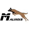 Malinois