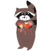 Raccoon