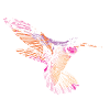 kolibri