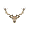 LowPoly "Deer"