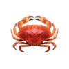 LowPoly "Crab"