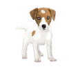 Hi, i am Jack !