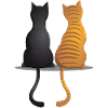 Katzenkumpels