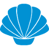 seashell
