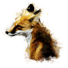 Fuchs
