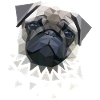 Mops