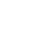 Skoda S100 Neu