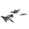Three penguins