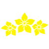 Jasmine flower 3