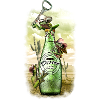 THIRSTY FROGS