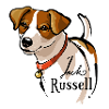 Jack Russell