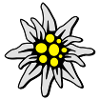 Edelweiss