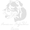 Amstaff bitch Text