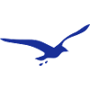Möwe