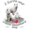 white shepherd dog