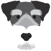 Miniature Schnauzer