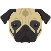 Pug