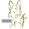 Malinois