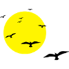 Abendflug