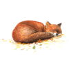 Fuchs