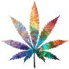 Cosmic Chronic
