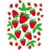 Erdbeeren Strawberries