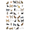 All cats