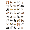 All dogs