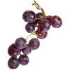 Traube
