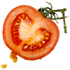 Tomate