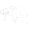 Mammut