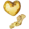 Kartoffel