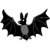 Fledermaus c