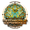 Psy Exp 2015