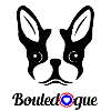 french bouledogue
