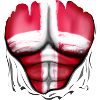 Danemark Drapeau Déchiré Musculaires