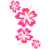 Hawaii Flower