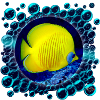 Blubberblasen