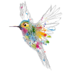 Un colibri Aquarelle Graffiti