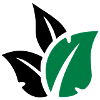 Trileaf