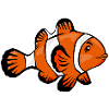 nemo