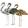 flamingos.png