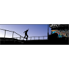 skaters gonna skate