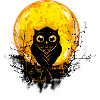 Eule bei Vollmond