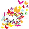 chat papillon 2