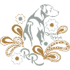 Rhodesian Ridgeback Paisley