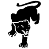 zwarte panter
