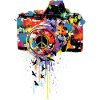 PAINT DSLR